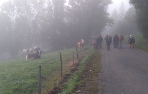 Randonnée dans les brumes