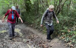 Marche du 13/10/2024 - St Savinien - passages boueux