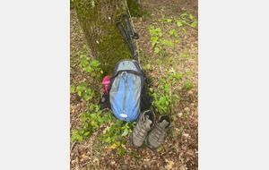 marche rapide / sportive du mercredi - Dirée - La Fouasse -Brisquettes GR4 - Bois des Etains