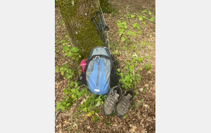 Marche à la journée à Saintes