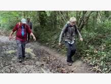 Marche du 13/10/2024 - St Savinien - passages boueux