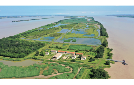 Sortie à la journée à Blaye le lundi 10 juin 2024