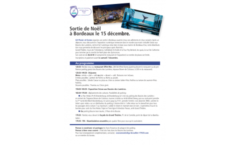 Sortie de Noël à Bordeaux le lundi 15/12/2025