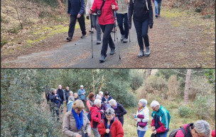 marche du 19/02/2025 - St Augustin - Charosson - Lafond