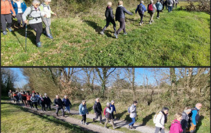 marche du 05/03/2025 - Breuillet - Monte-Rude - Les Rosiers