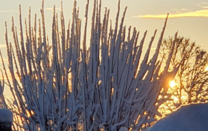 Neige à Breuillet - 06/01/2026