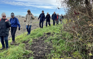 Marche du 21/01/2026 - Breuillet - Les Combes - Coulonges - Chalezac