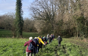 marche  du 18/02/2026 - Etaules - Ile d'Etaules