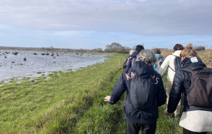 marche  du 18/02/2026 - Etaules - Ile d'Etaules
