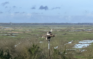 marche du 01/03/2026 - La Gripperie - St Jean d'Angle