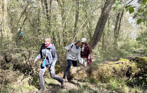 marche du 25/03/2026 - Breuillet - Les Brandes - Taupignac - Le Grallet