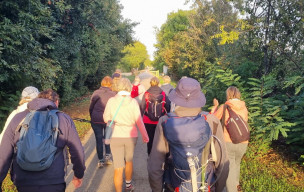 marche du 11/10/2026 - Marennes - Gataudière - Canal du Lindron