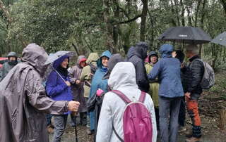 marche du 18/12/2024 - La Tremblade - Phare de la Courbe - Chemin de la Chapelle