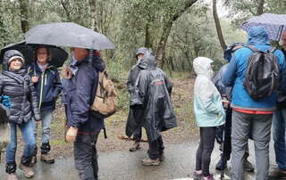 marche du 18/12/2024 - La Tremblade - Phare de la Courbe - Chemin de la Chapelle