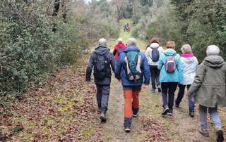 marche 08/01/2025 - La Tremblade - Le Pacha - Chemin du Mino