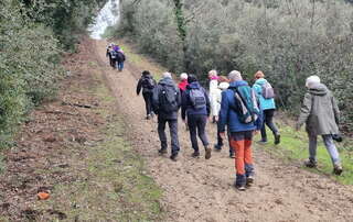 marche 08/01/2025 - La Tremblade - Le Pacha - Chemin du Mino