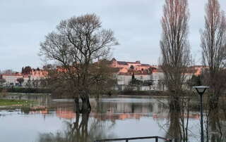 Marche du 12/01/2025 - Saintes - Sentier Germanicus