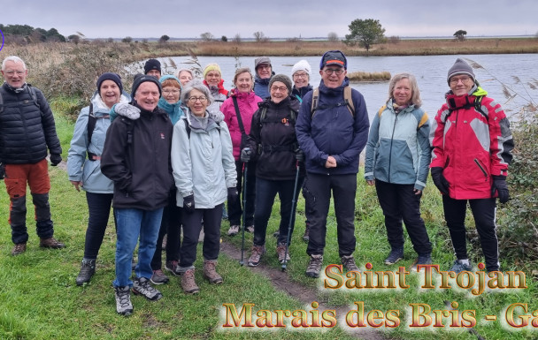 Marche du 26/01/2025 - St Trojan - Marais des Bris - Gatseau - Retour forêt