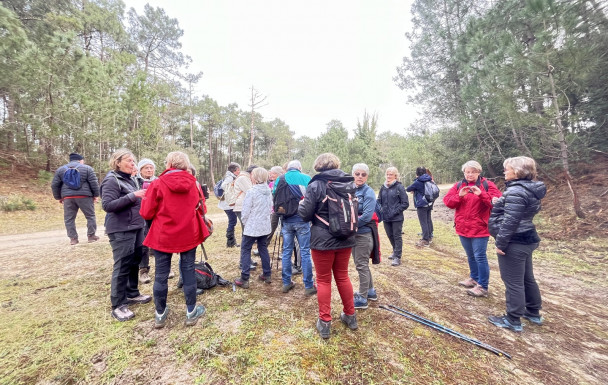 Marche du 12/02/2025 - la Tremblade - Phare de la courbe