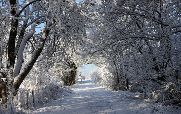 Neige à Breuillet - 06/01/2026
