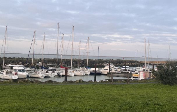 marche du 11/01/2026 - La Palmyre