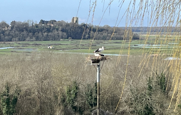 marche du 01/03/2026 - La Gripperie - St Jean d'Angle
