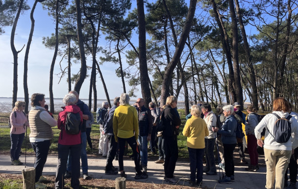 marche du 04/03/2026 - La Palmyre - Bonne Anse - Phare de la Coubre
