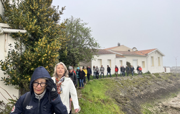 marche du 08/03/2026 - Bourcefranc - le Chapus - pointe des chardons