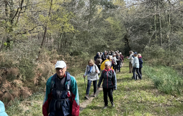 marche du 25/03/2026 - Breuillet - Les Brandes - Taupignac - Le Grallet