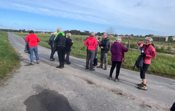 marche du 12/04/2026 - Arvert - Presqu'Ile