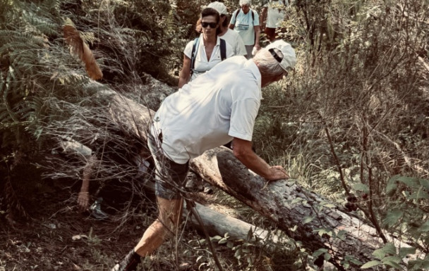 marche du 02/09/2026 - Breuillet - Le bois du Breuil - Taupignac