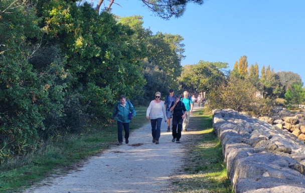 marche du 28/10/2026 - La Tremblade (Mus de Loup) - Ronce les Bains - Les Roseaux