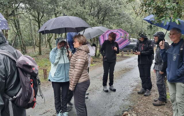 marche du 18/12/2024 - La Tremblade - Phare de la Courbe - Chemin de la Chapelle