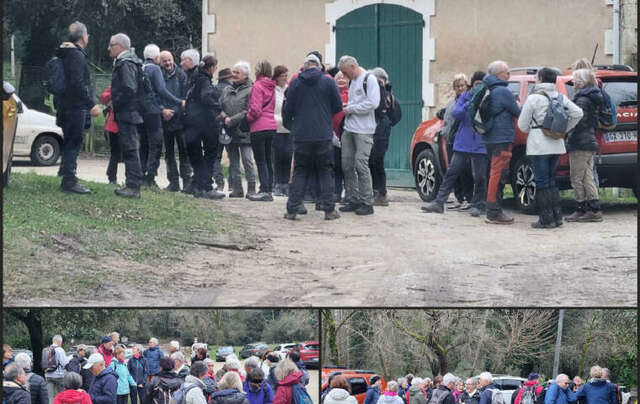 marche 08/01/2025 - La Tremblade - Le Pacha - Chemin du Mino